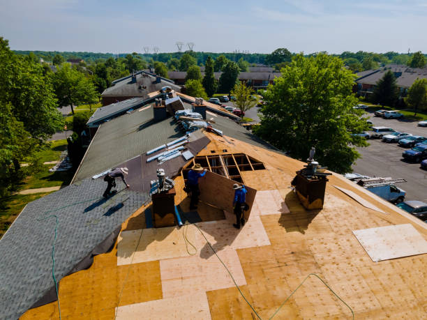 Trusted Storm Damage Roof Repair service in Sheridan, OR - Brentwood Metal Roofing